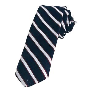 Pierre Balmain Diagonal Stripes Mens Neckties